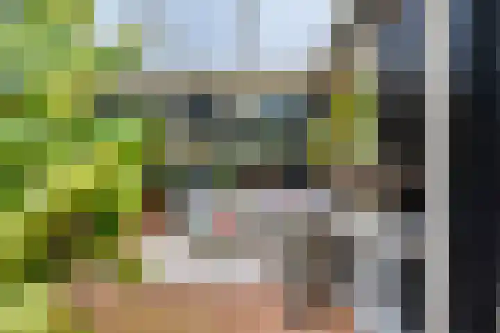 De Muldershof 19 Hummelo thumbnail 44