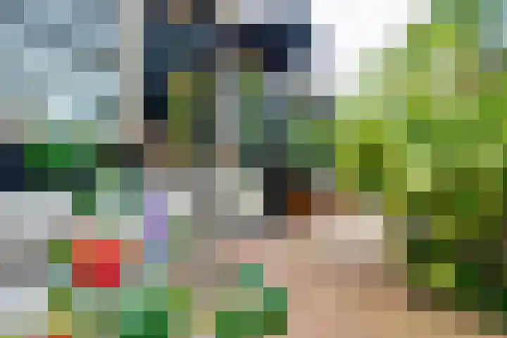 De Muldershof 19 Hummelo thumbnail 45
