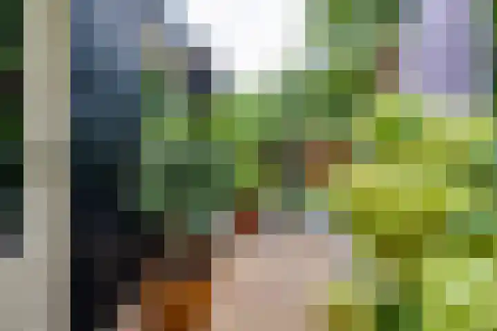 De Muldershof 19 Hummelo thumbnail 47