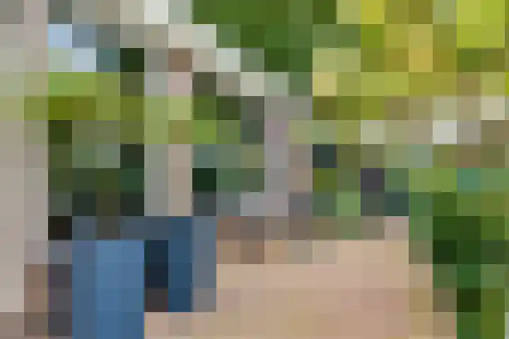 De Muldershof 19 Hummelo thumbnail 5