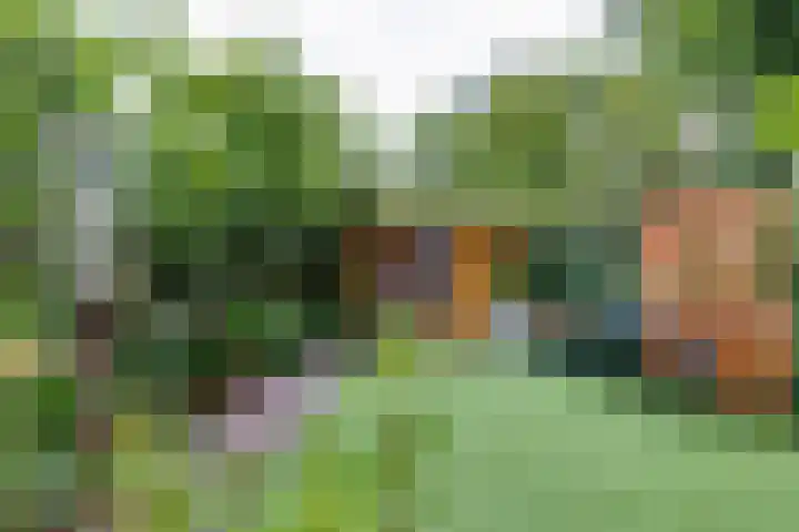De Muldershof 19 Hummelo thumbnail 50