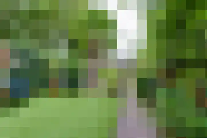 De Muldershof 19 Hummelo thumbnail 52