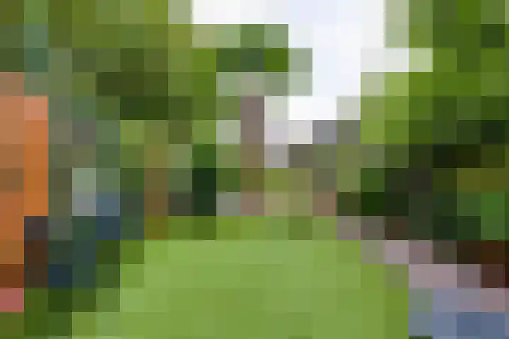 De Muldershof 19 Hummelo thumbnail 53