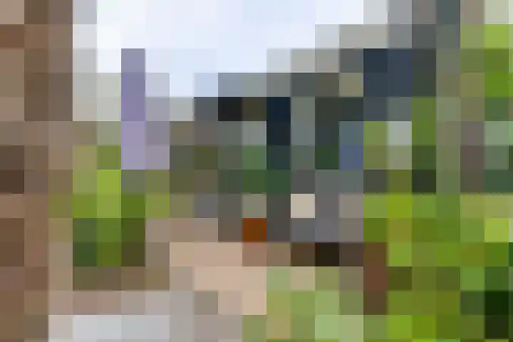 De Muldershof 19 Hummelo thumbnail 55
