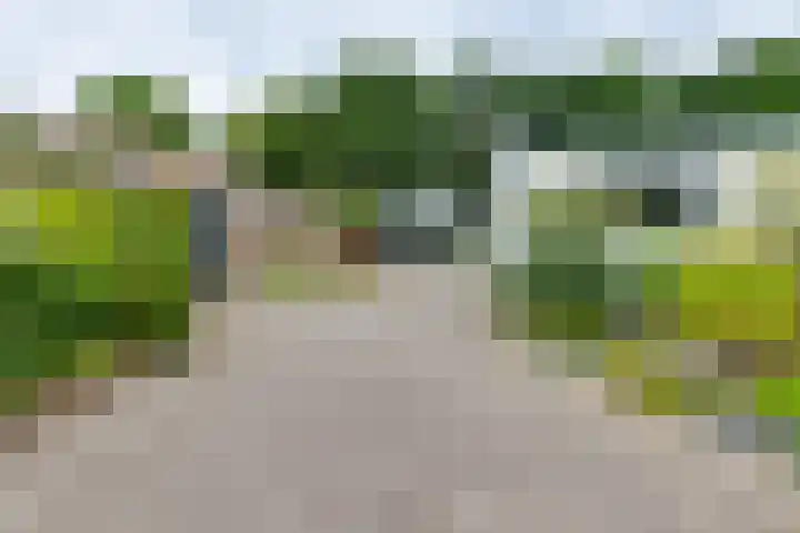 De Muldershof 19 Hummelo thumbnail 57