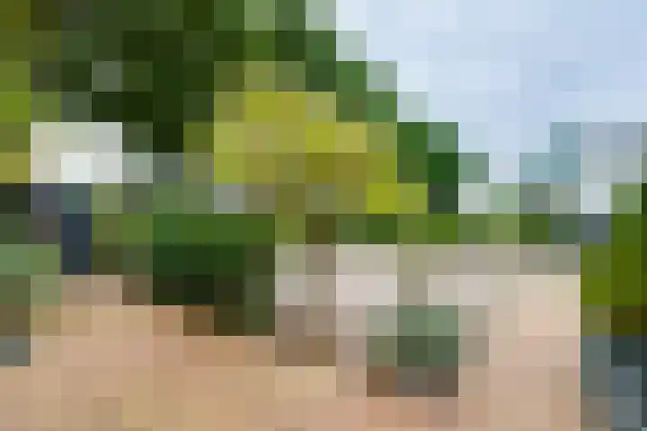 De Muldershof 19 Hummelo thumbnail 6