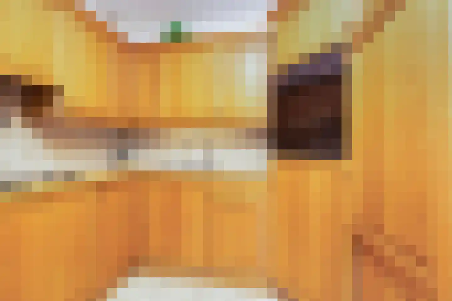 De Muldershof 6 Hummelo thumbnail 17