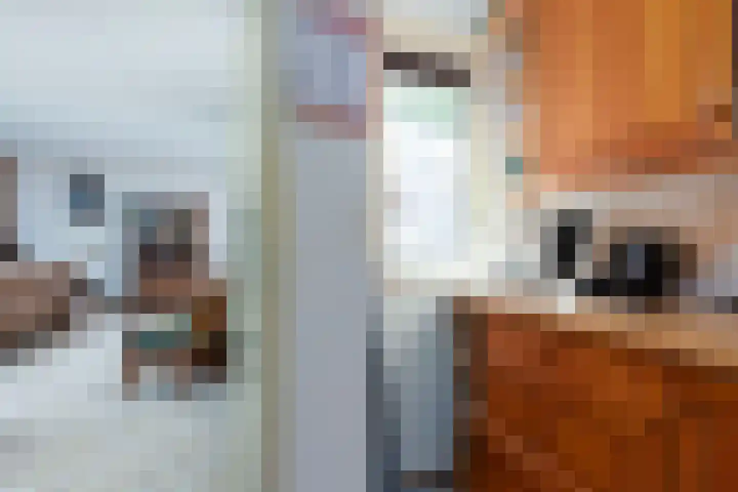 De Muldershof 6 Hummelo thumbnail 18