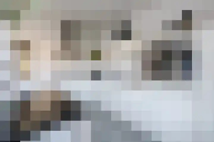 De Mullender 6 Heerlen thumbnail 22