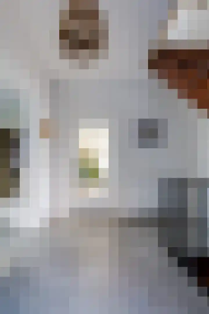 De Mullender 6 Heerlen thumbnail 8