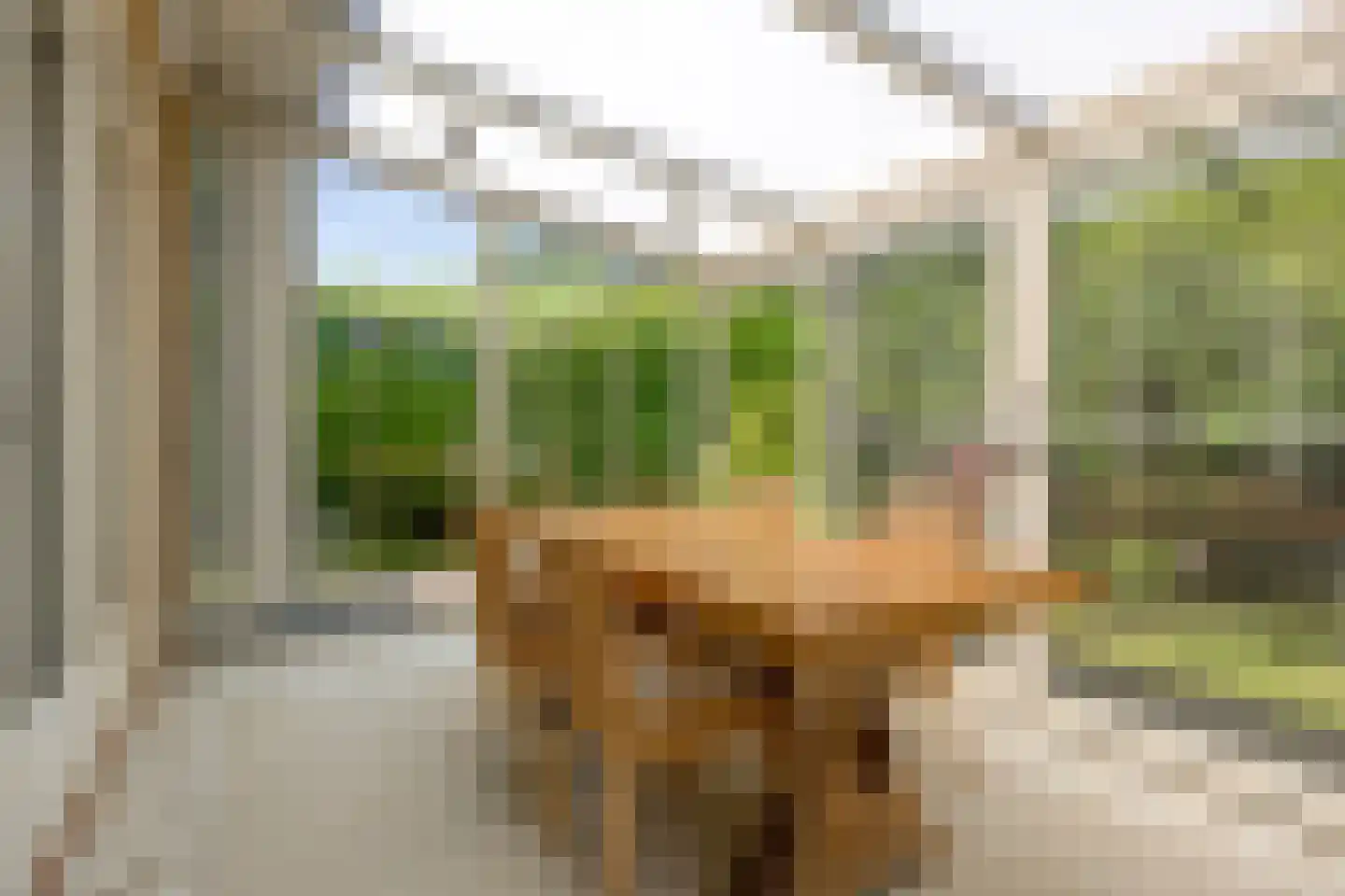 De Munter 9 Veldhoven thumbnail 17