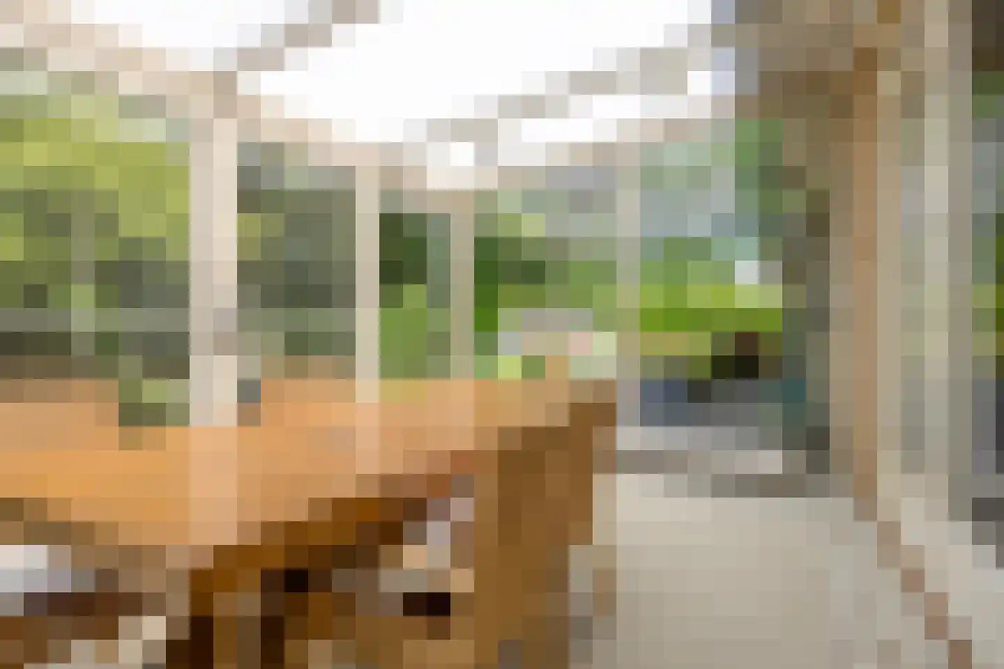 De Munter 9 Veldhoven thumbnail 18
