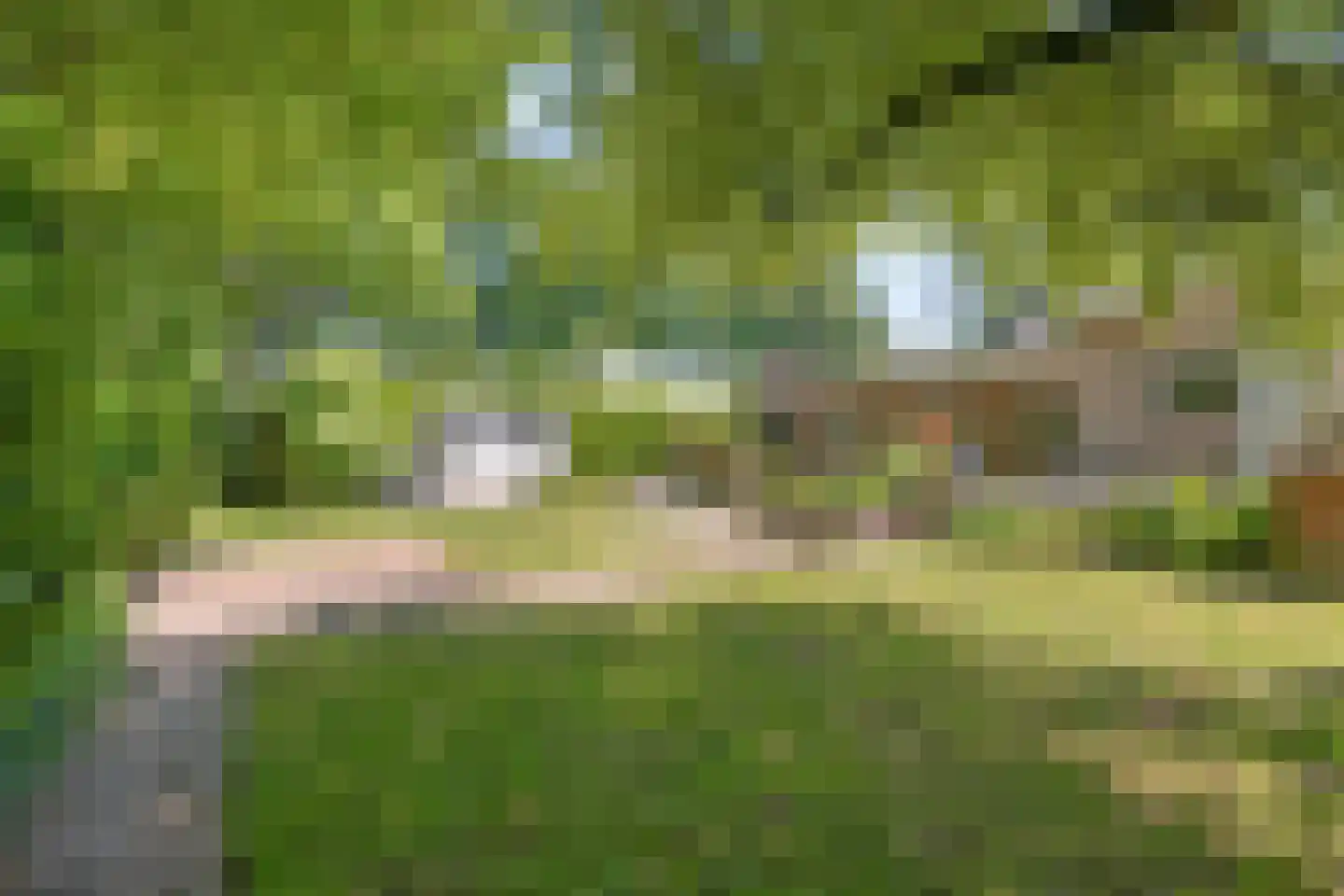 De Munter 9 Veldhoven thumbnail 36