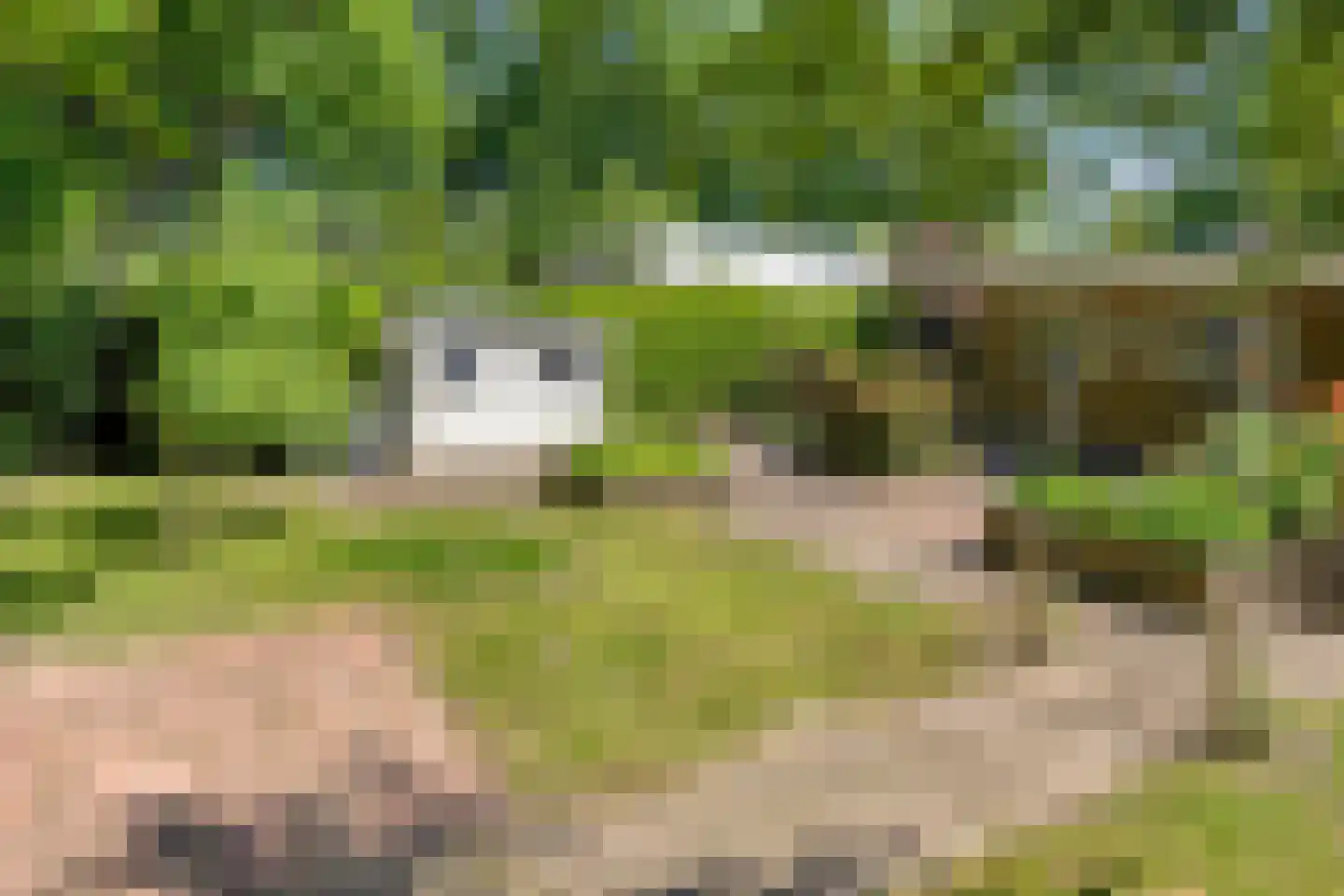 De Munter 9 Veldhoven thumbnail 41