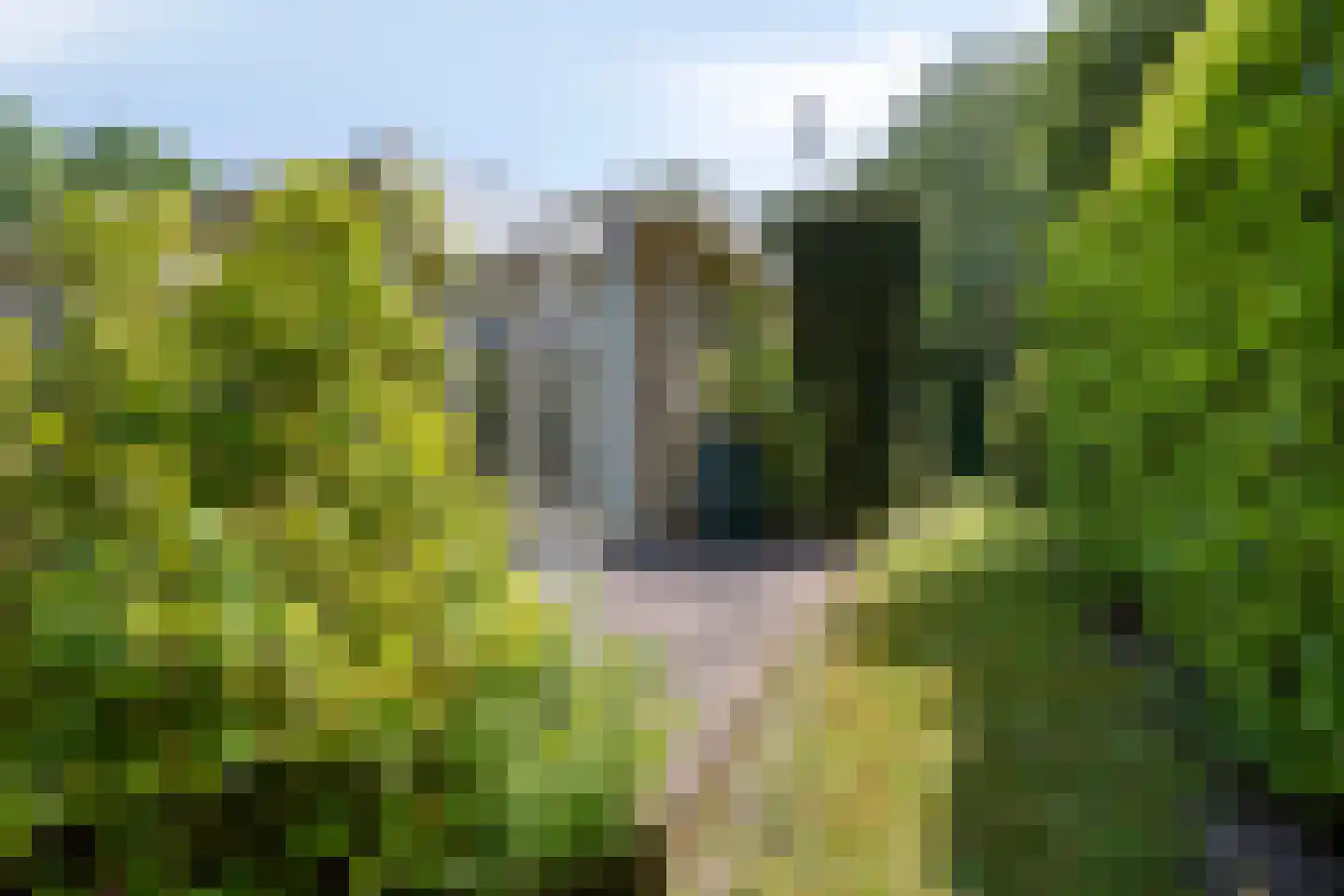 De Munter 9 Veldhoven thumbnail 43