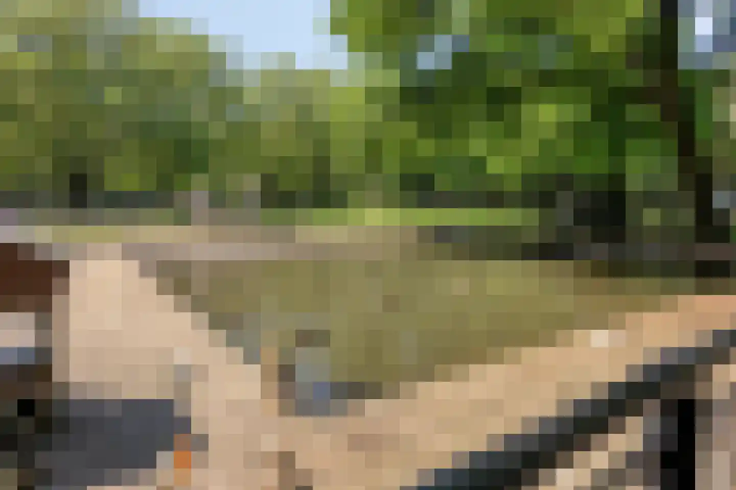 De Munter 9 Veldhoven thumbnail 53