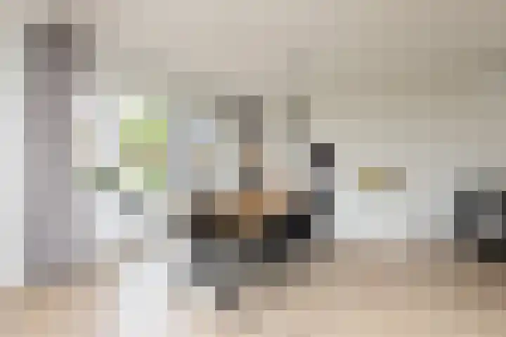De Muonts 15 Witmarsum thumbnail 10