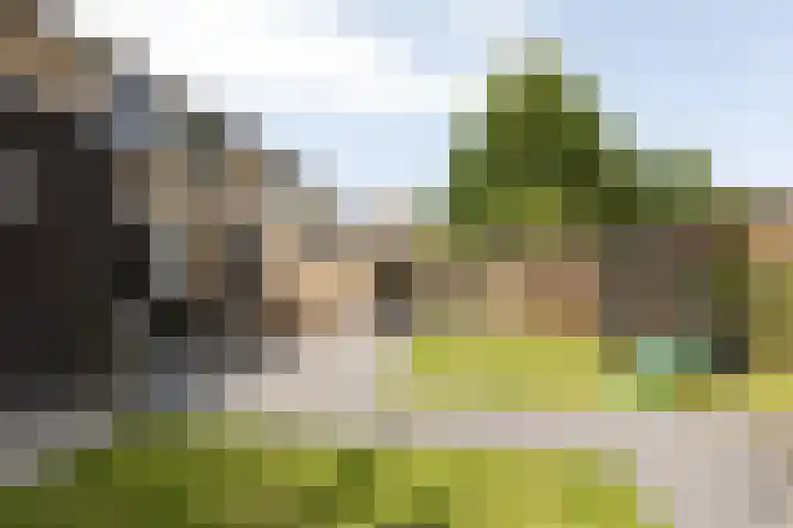 De Muonts 15 Witmarsum thumbnail 33
