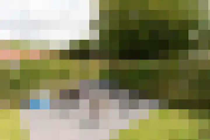 De Muonts 15 Witmarsum thumbnail 38