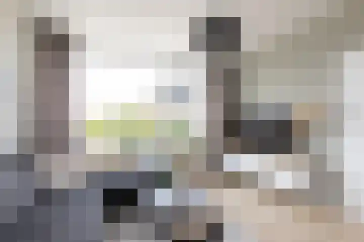 De Muonts 15 Witmarsum thumbnail 7
