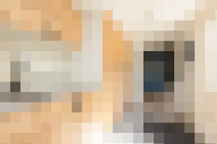 De Muonts 31 Witmarsum thumbnail 14