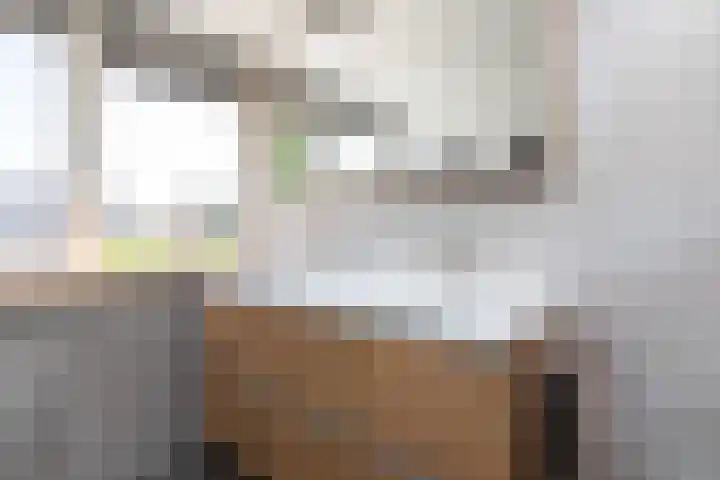 De Muonts 31 Witmarsum thumbnail 27