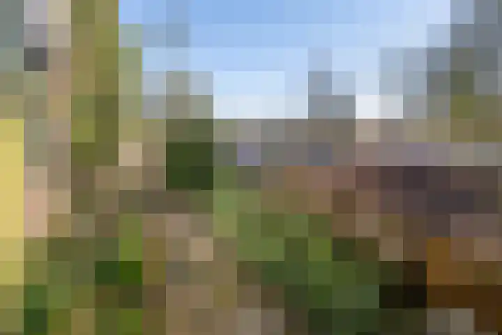De Muonts 31 Witmarsum thumbnail 36