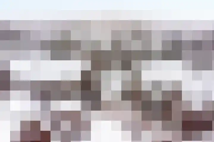 De Muonts 31 Witmarsum thumbnail 4