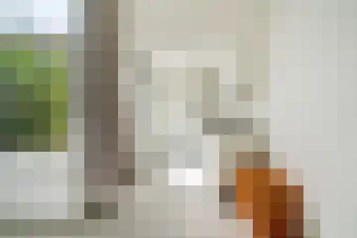 De Muonts 31 Witmarsum thumbnail 43