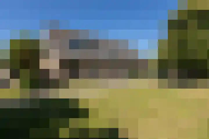 De Muonts 31 Witmarsum thumbnail 45