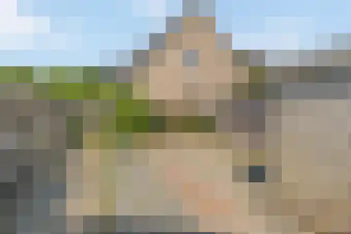 De Muonts 75 Witmarsum thumbnail 15