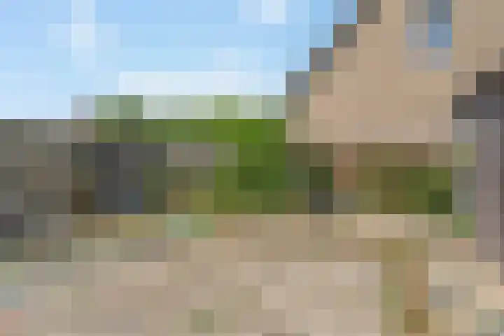 De Muonts 75 Witmarsum thumbnail 16
