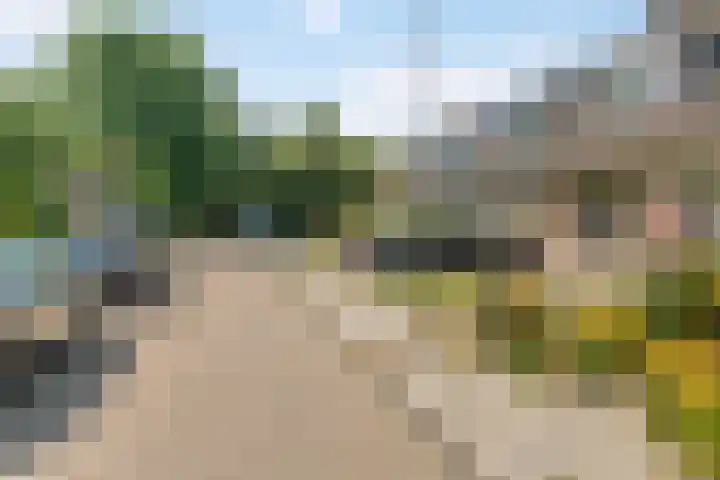 De Muonts 75 Witmarsum thumbnail 4