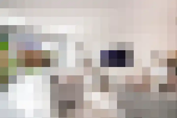 De Mus 3 Schoonhoven thumbnail 16