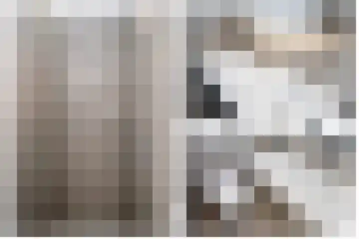 De Mus 3 Schoonhoven thumbnail 25