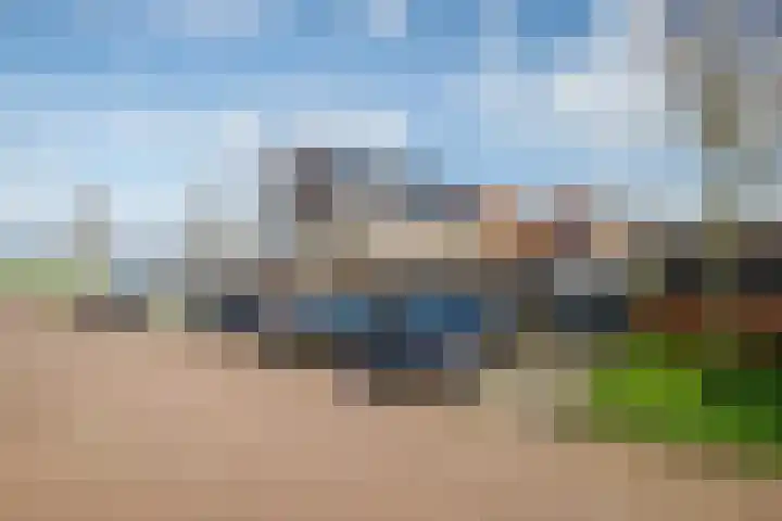 De Mus 3 Schoonhoven thumbnail 42