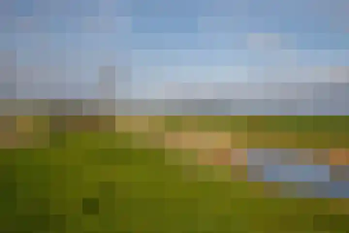 De Mus 3 Schoonhoven thumbnail 43