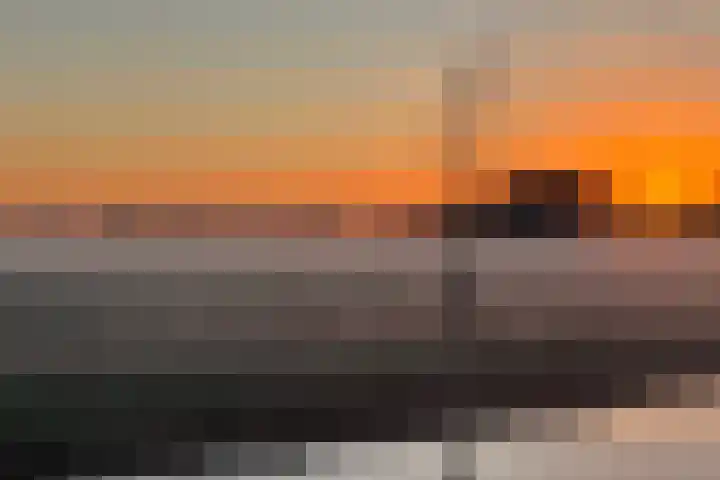 De Mus 3 Schoonhoven thumbnail 44