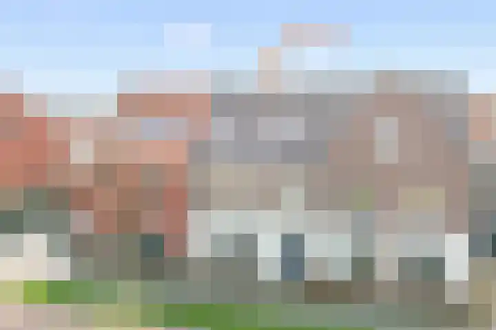 De Mus 3 Schoonhoven thumbnail 5