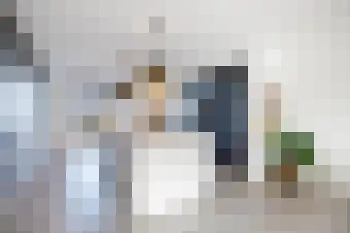 De Mus 3 Schoonhoven thumbnail 9