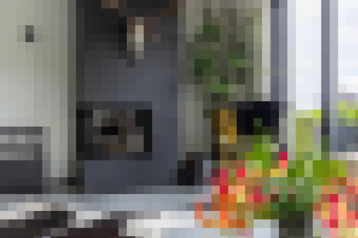 De Mus 5 Schoonhoven thumbnail 11