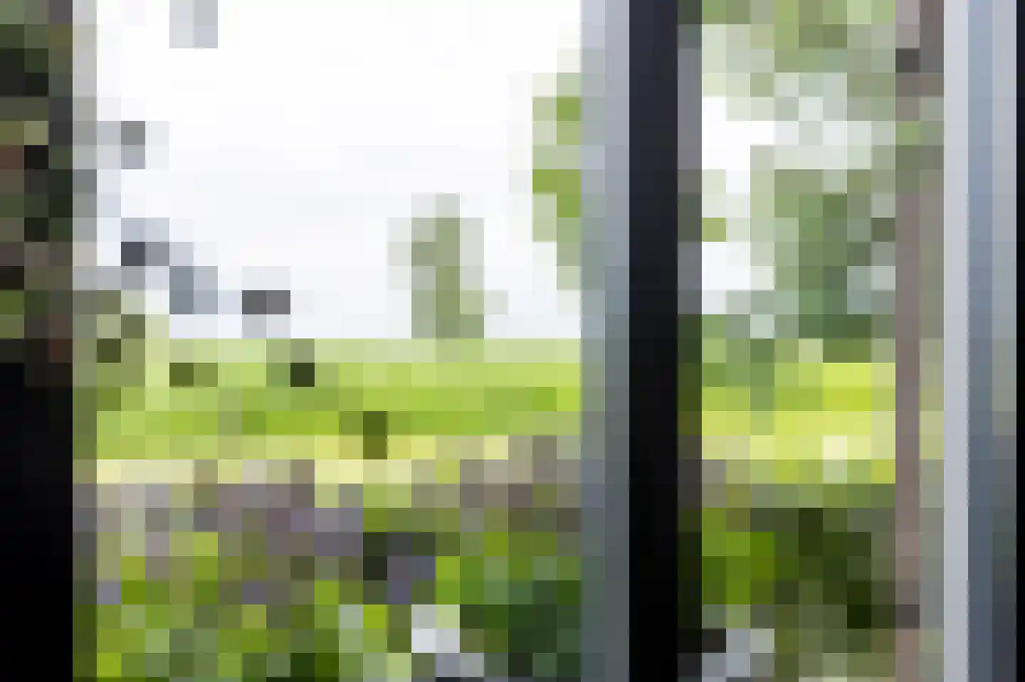 De Mus 5 Schoonhoven thumbnail 12