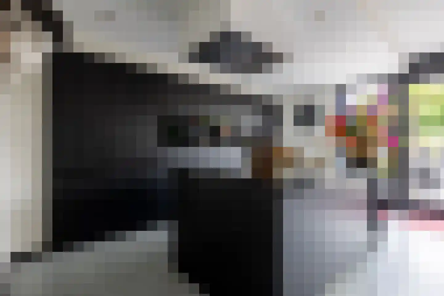 De Mus 5 Schoonhoven thumbnail 18