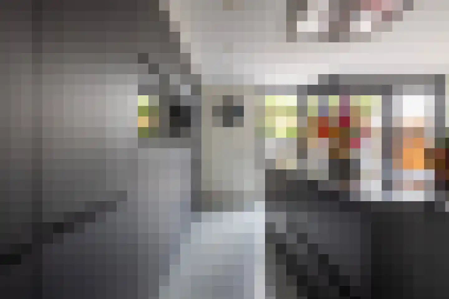 De Mus 5 Schoonhoven thumbnail 20