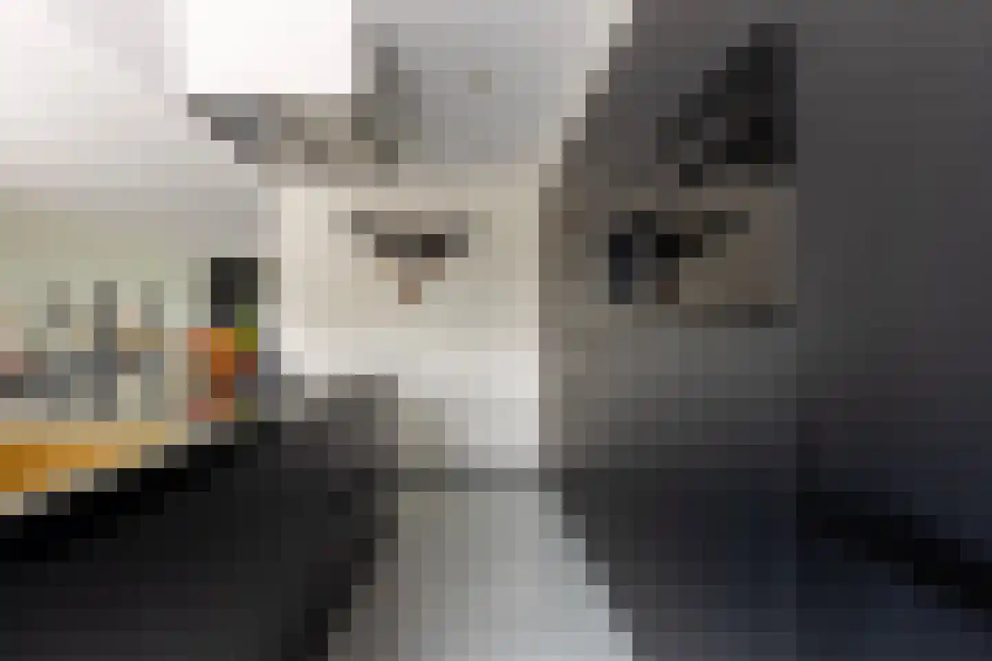 De Mus 5 Schoonhoven thumbnail 22