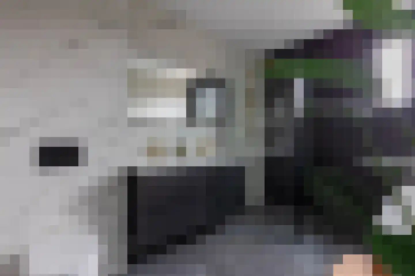 De Mus 5 Schoonhoven thumbnail 34