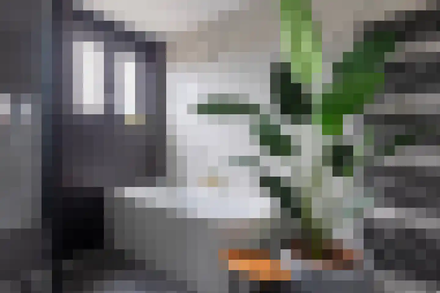 De Mus 5 Schoonhoven thumbnail 35