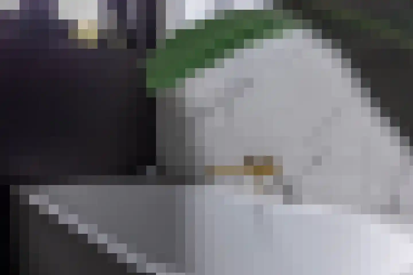 De Mus 5 Schoonhoven thumbnail 36