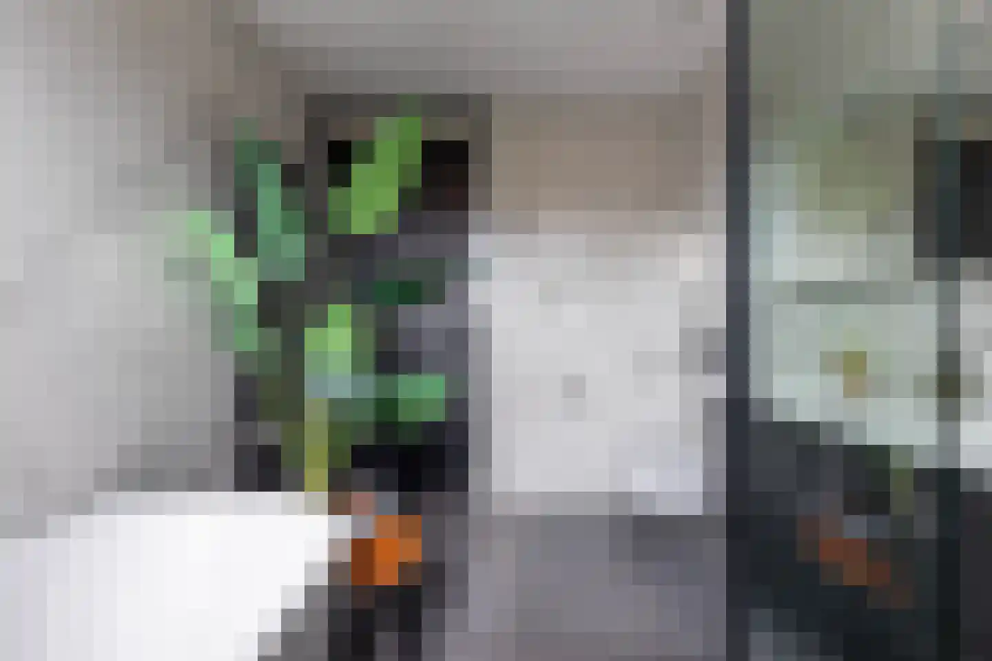 De Mus 5 Schoonhoven thumbnail 39