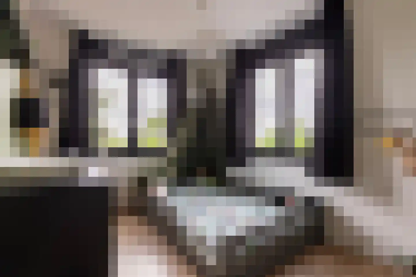 De Mus 5 Schoonhoven thumbnail 43